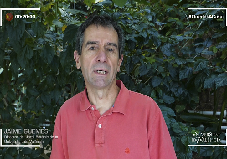 Imatge representativa de la novetat